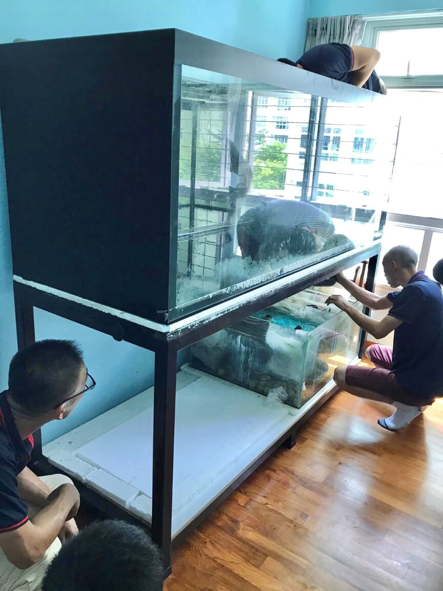 Big fish tank mover – move move movers Big fish tank mover