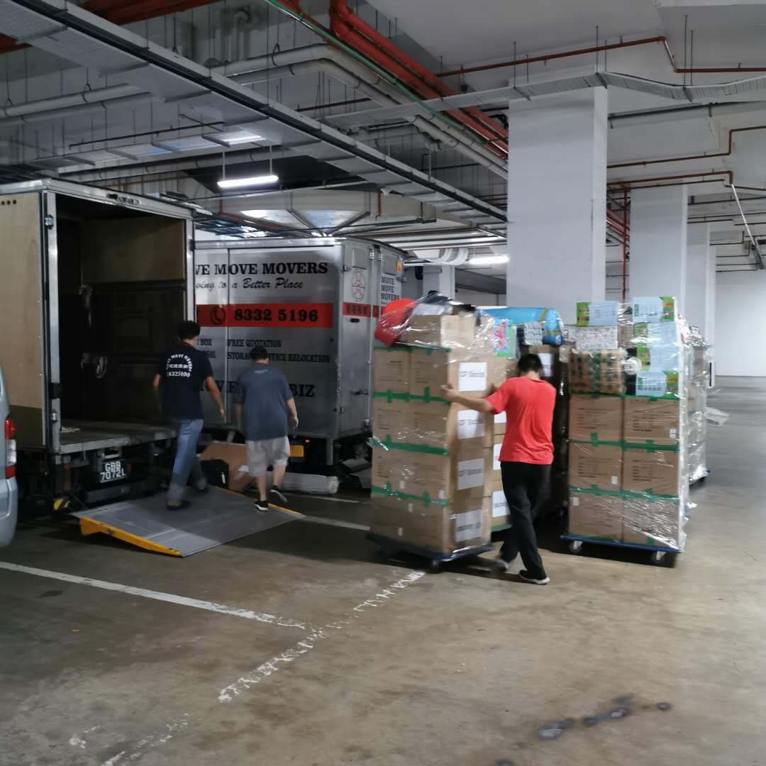 Move Move Movers crew moving palletised cartons through an industrial loading bay