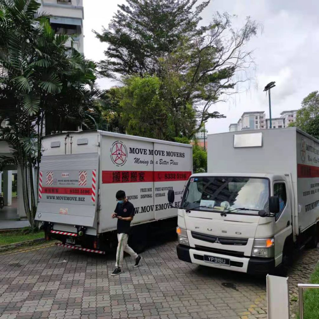 Professional lorry mover – move move movers – move move movers Professional lorry mover