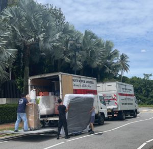waste removal services