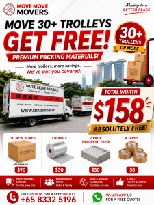Move Move Movers premium packing materials offer for Singapore moving service